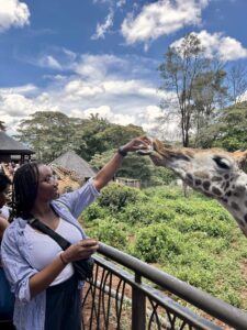 Solo travel to Nairobi: Feeding Rothschild Giraffes at the Giraffe Manor Nairobi