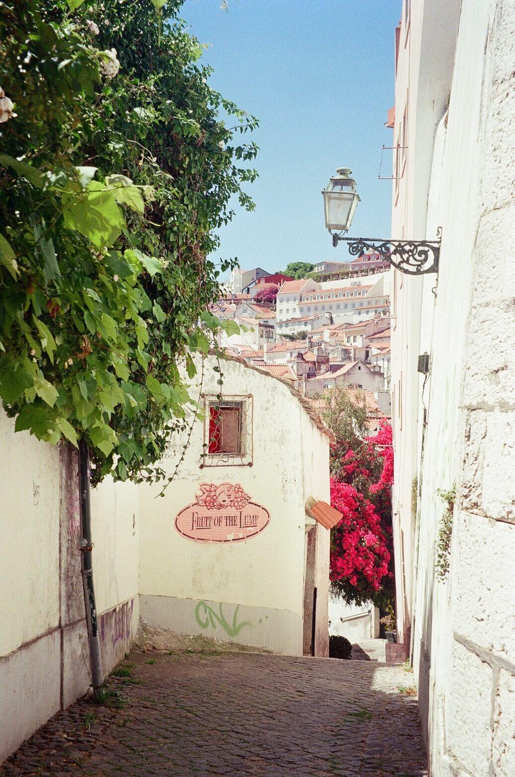 lisbon pathway